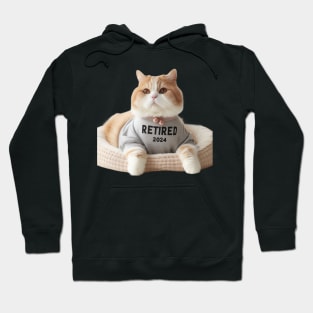 Not My Problem Anymore: Cute Old Cat Retired 2024 Hoodie